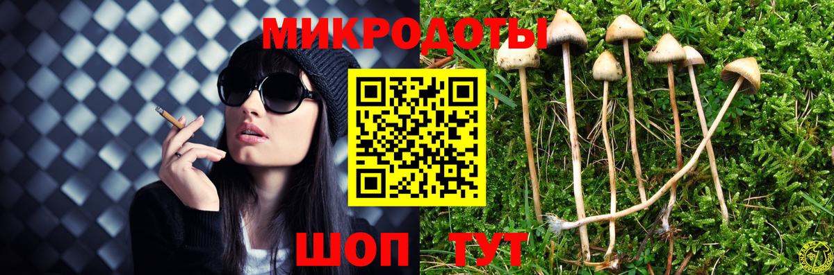 Шумерля  Галлюциногенные грибы Cubensis  Вход с VPN 